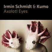 Axolotl Eyes - individual tracks