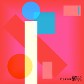 beko_amdiscs1