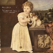 Lily Lavender "Joy Of It" Fusion Confusion