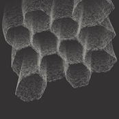 Negentropy [1/3] - Foundations