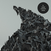 tu nadaje anatomia rekina