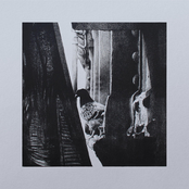 Small Animal Hospital