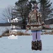 Cats In The Cold