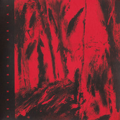 Branquias Bajo el Agua