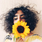 Girassol (Acústico)