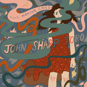 John Sharp Toro