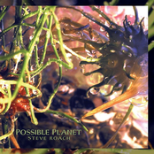 Gestation by Steve Roach