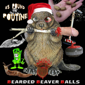 BEARDED BEAVER BALLS