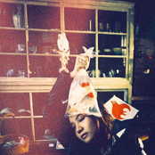 你安安靜靜地躲起來