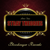 Every Kind Of You by Stray Theories