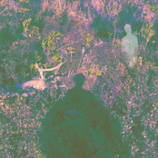 rosa rosa rosa rosa rosa rosa rosa