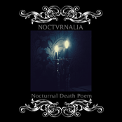 Nocturnal Death Poem