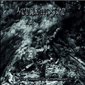 In The Shadow Of Remembrance