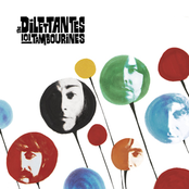 Like Crazy by The Dilettantes