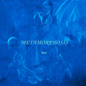 The Fight Is Over by Metamorphosis