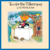 Tea For The Tillerman