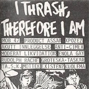 I Thrash Therefore I Am