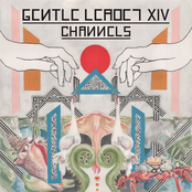 Channels