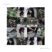 Ver a Través de tus Ojos