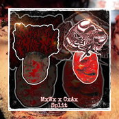 SPLIT WITH MORBID WORM