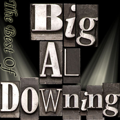 The Best Of Big Al Downing