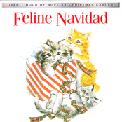 Feline Navidad