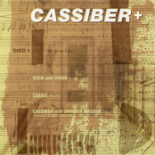 CASSIBER+: Collaborations