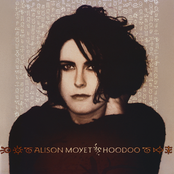 Never Too Late by Alison Moyet