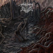 Decimation of the Flesh