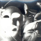 Night & Day (Dreams)