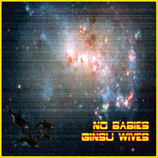 no babies/ginsu wives split