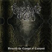 Beneath the Canopy of Compost