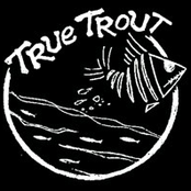 True Trout