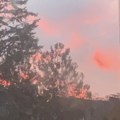 Cruel Intentions​, Pt. 2