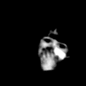 Toujours un peu Flo u