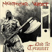 Split 12" with Nightfeeder