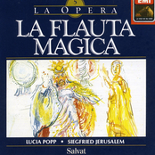 the magic flute (highlights)