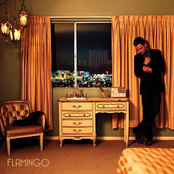 Brandon Flowers: Flamingo