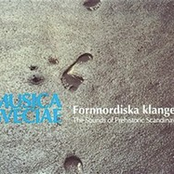 Fornnordiska klanger - The Sounds of Prehistoric Scandinavia