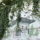 MARTINLEIB JUNE CLIPS