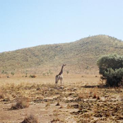 우리는 선처럼 가만히 누워