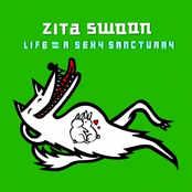 My Heart Belongs To Someone Else (i Wish It Was Mine) by Zita Swoon