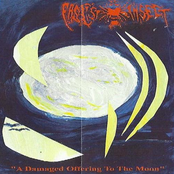 damage digital / fascist insect