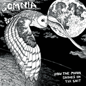 Somnia: How the Moon Shines on the Shit