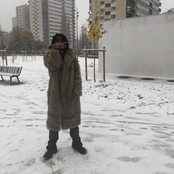 Sheguey d'Alaska (2015) [nz]