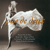Ballet Music - Burgmuller, Tchaikovsky, Minkus,  Paulli, Hertel, & Asafiev