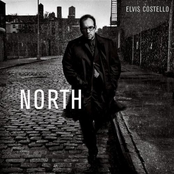 Fallen by Elvis Costello