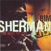 Be My Lighthouse by Bim Sherman