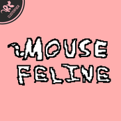 MOUSE-FELINE