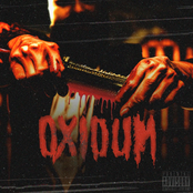 CAER MAS AYA DEL SUELO